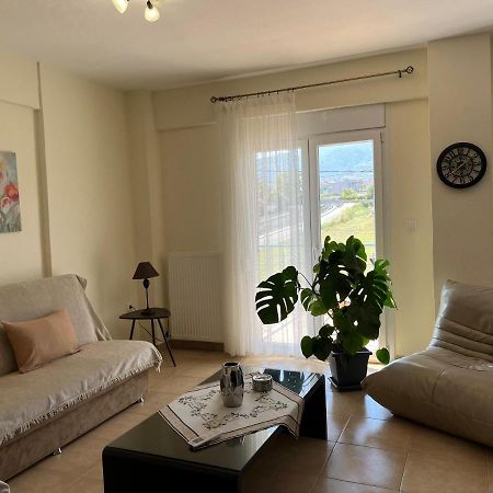 Olympian Two Floor Apartment Leptokaryá Eksteriør bilde