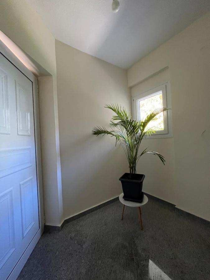 Olympian Two Floor Apartment Leptokaryá Eksteriør bilde